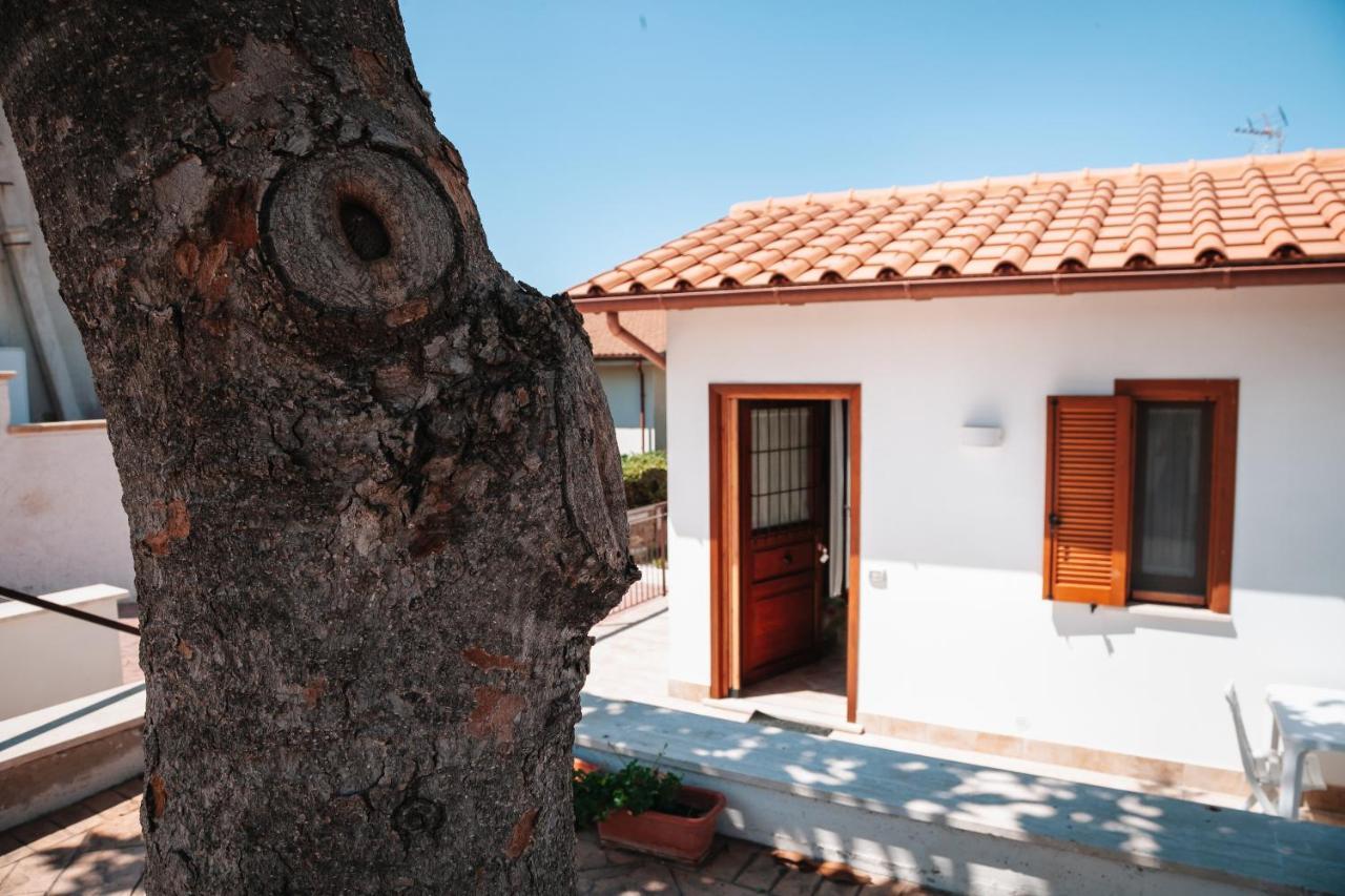 Magnolia Rooms Civitavecchia Eksteriør bilde
